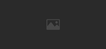 Test Article